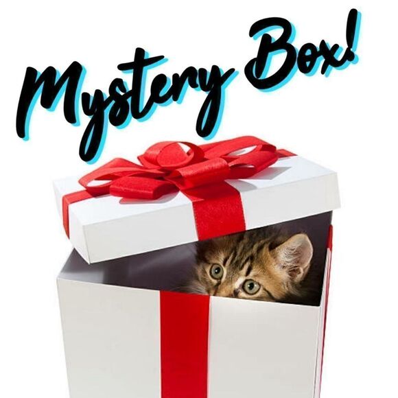 Tops - Posh Support Live Listing Mystery Box